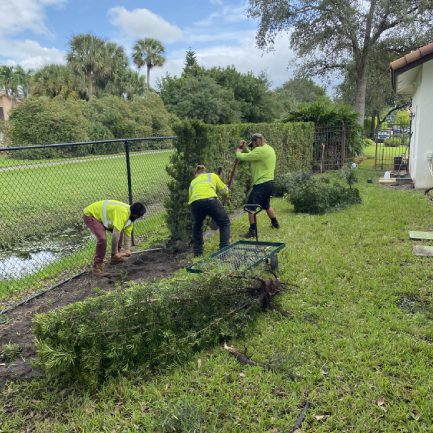 Three men wearing yellow vests diligently working on shaping a hedge in a landscaped outdoor setting.